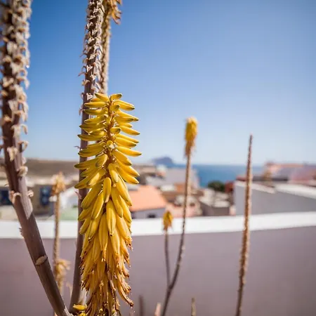 Apartmán Plaza Vista Mar