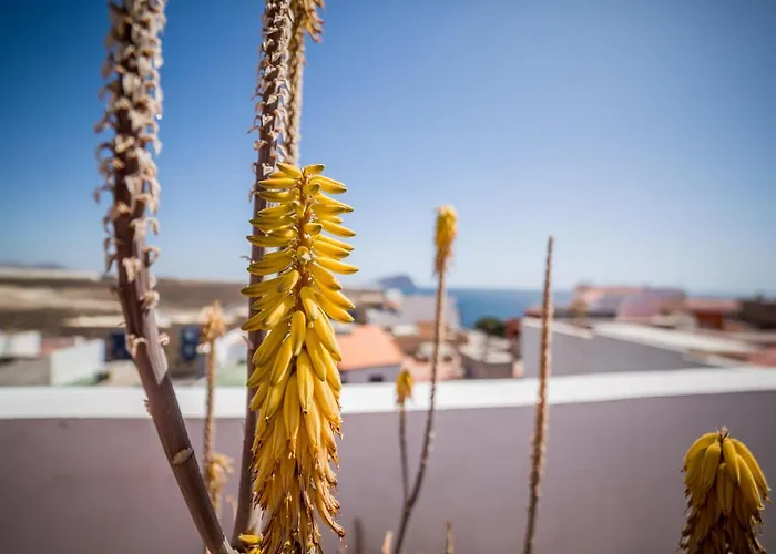 Appartement Plaza Vista Mar